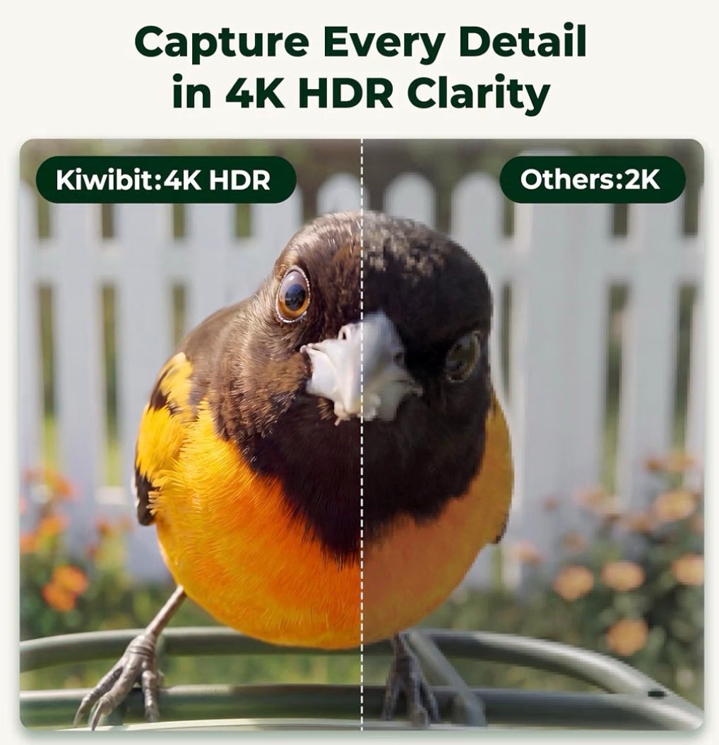 4k high detail bird feeder recorder 