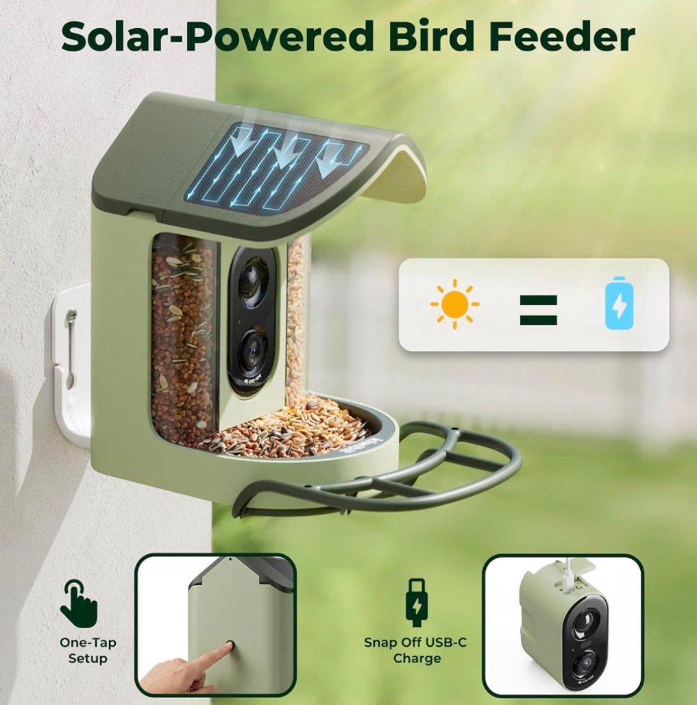 Solar powered bird feeder with camera 