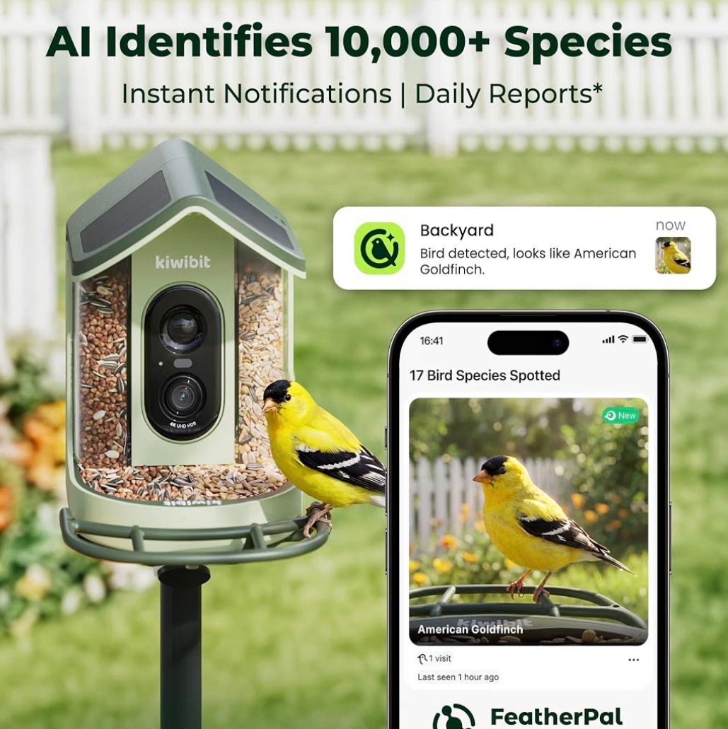 AI identification bird feeder with camera 