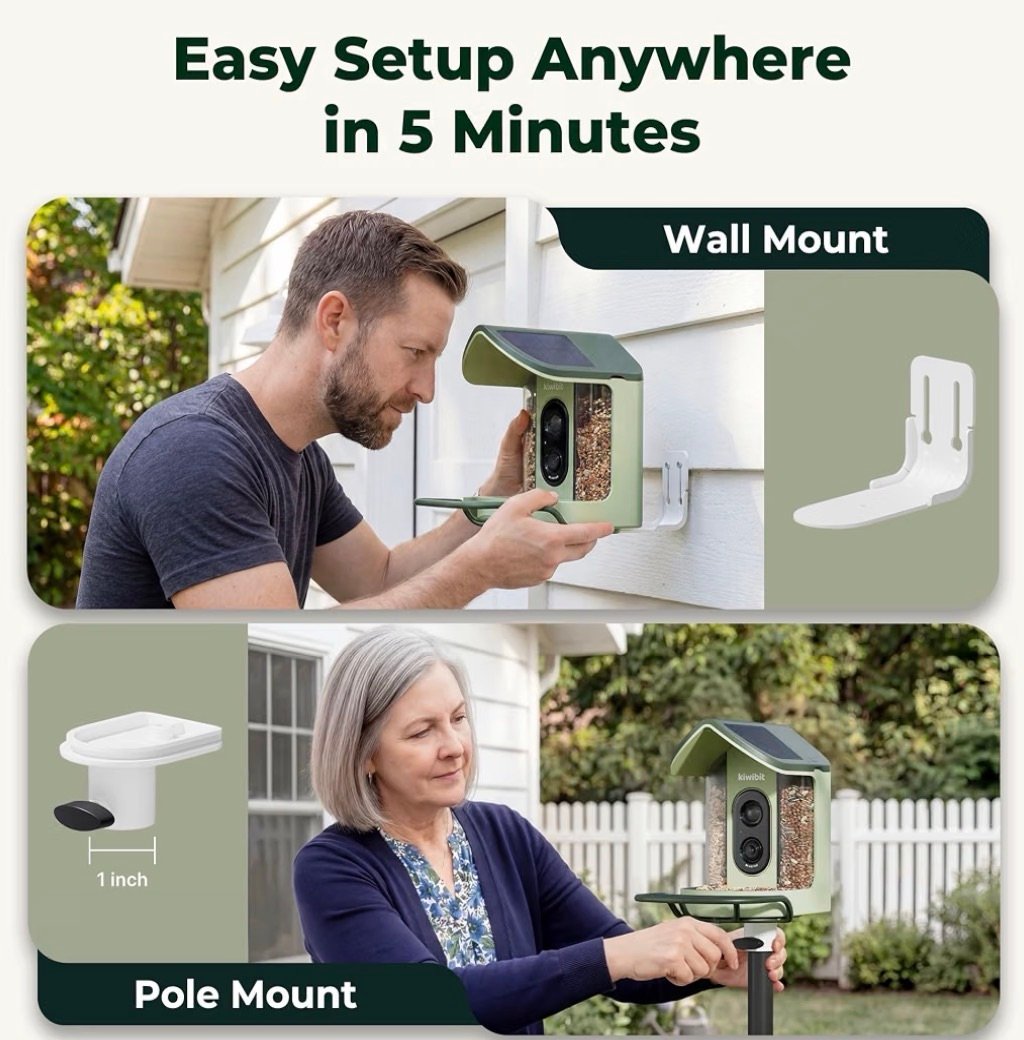Bird feeder that is easy to set up 