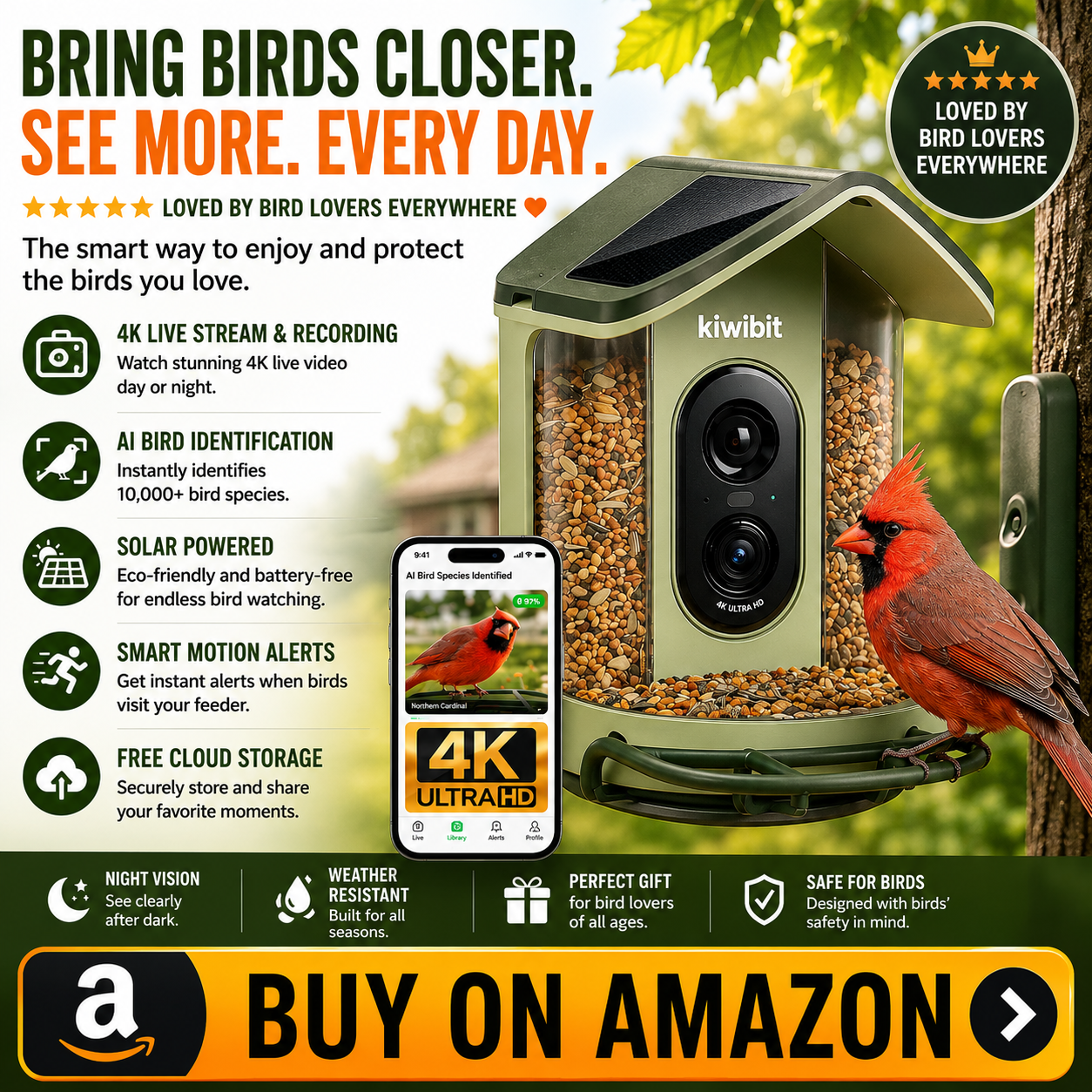 Best AI recording identification bird feeder 
