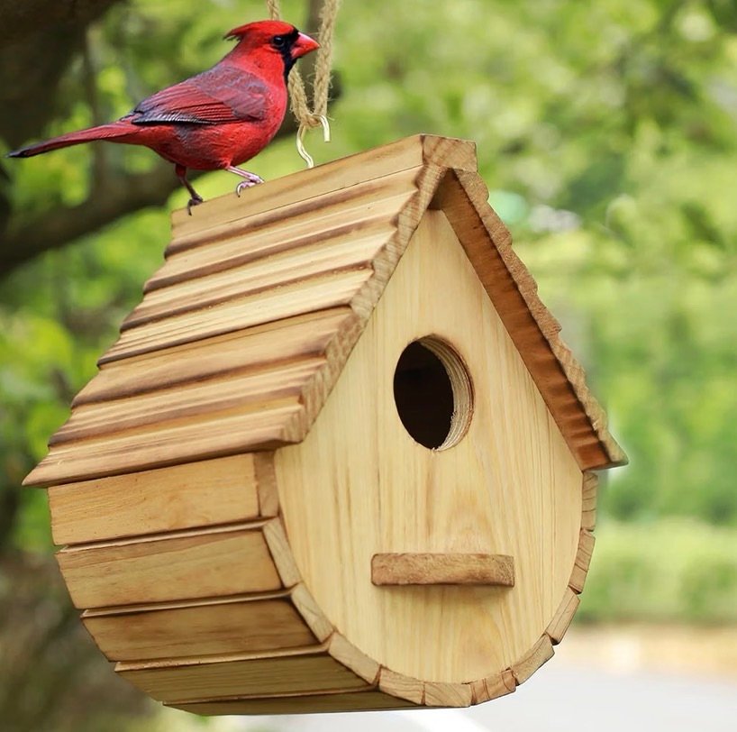 Cardinal on wood birdhouse 